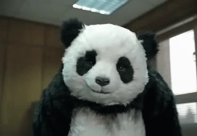 What Awkward GIF - What Awkward Panda GIFs