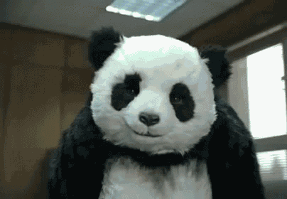 a stuffed panda bear is wearing a mask and smiling in a room .