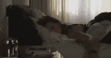 a woman is laying on a bed in a hotel room with a dog .