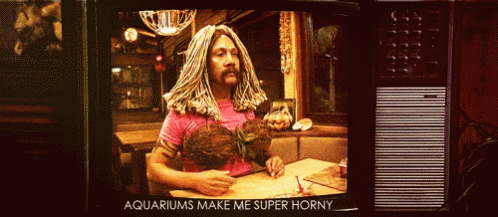 50first Dates Rob Schneider GIF - 50first Dates Rob Schneider Aquariums Make Me Super Horny GIFs