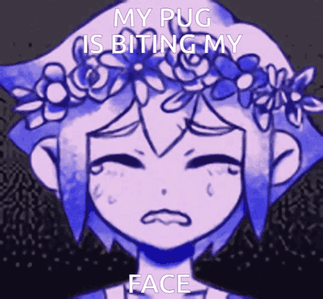 a drawing of a girl with a flower crown on her head and the words " my pug is biting my face "
