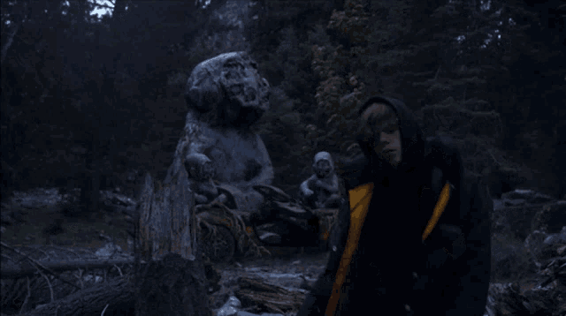 a person in a black jacket with a yellow hood is standing in a forest