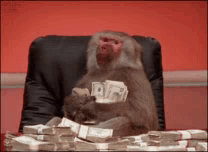 Monkey Money GIF - Monkey Money GIFs