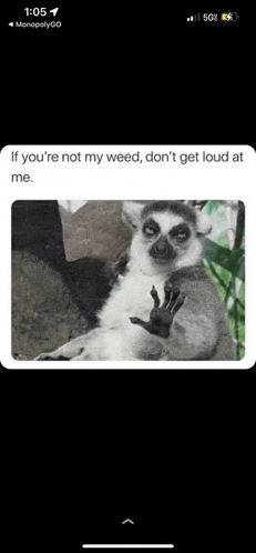 a lemur is sitting on a rock and giving a thumbs up sign .