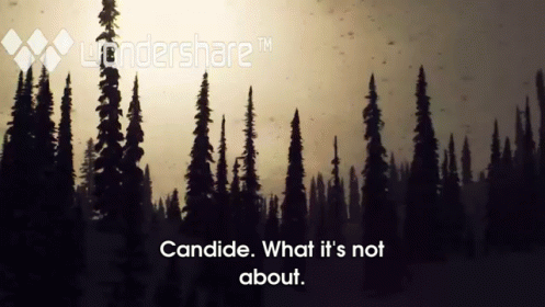 Candide Thovex Explaining His Thoughts About Skiing. GIF - Candide Not About GIFs