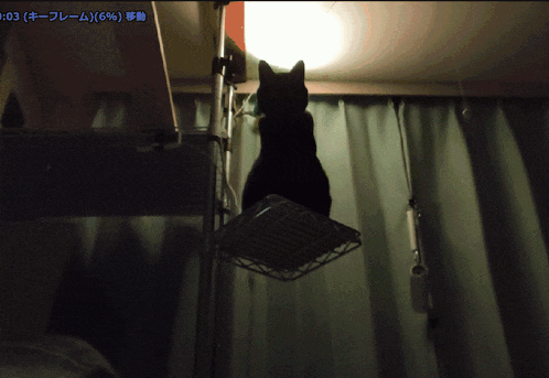 a black cat is standing on a wire shelf in a dark room with a time stamp of 1:03