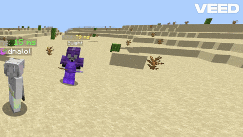 a screenshot of a minecraft game with the name swright