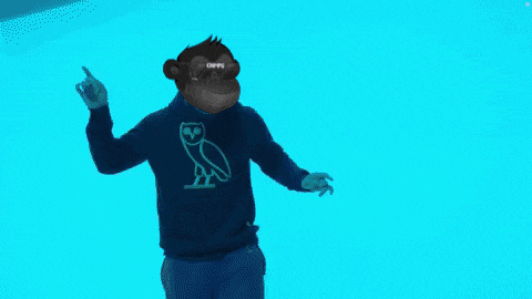 a man wearing a hoodie with an owl on it is dancing