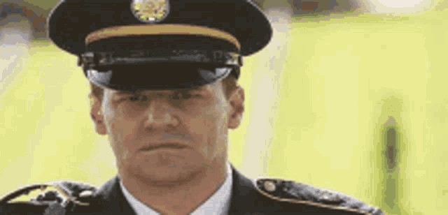 a man in a military uniform is standing in front of a field .