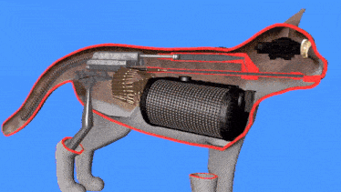 How A Cat Works Firearm GIF - How A Cat Works Cat Firearm GIFs