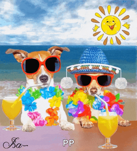 two dogs wearing sunglasses and hats drinking from glasses
