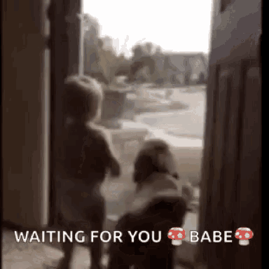 Happy To See You Funny Animals GIF - Happy To See You Funny Animals Babies GIFs