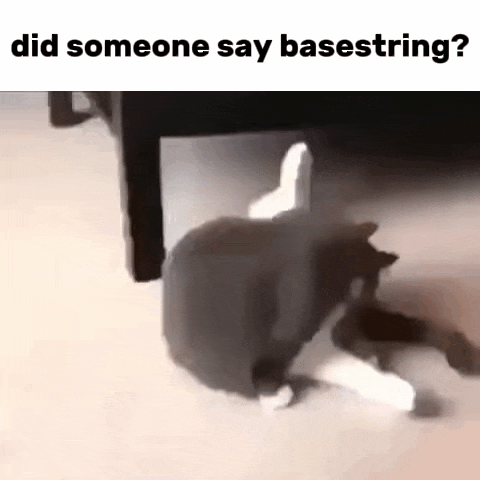 a cat is crawling under a table with the words `` did someone say basestring '' .