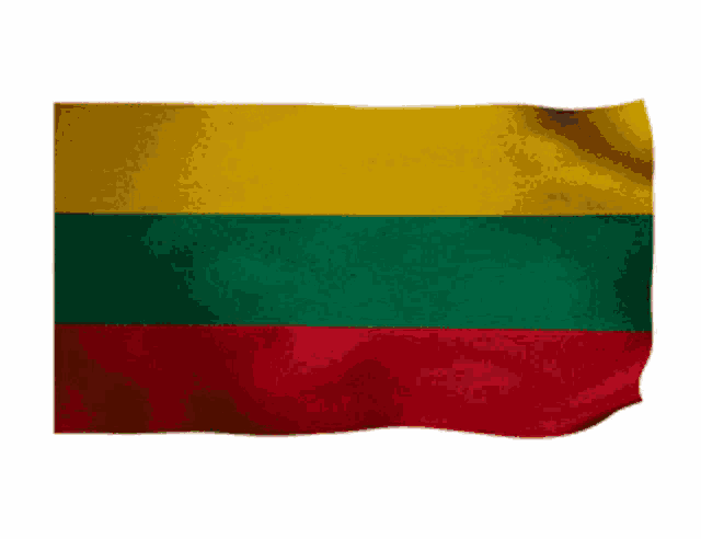 Lithuania Lietuva GIF - Lithuania Lietuva Lt GIFs
