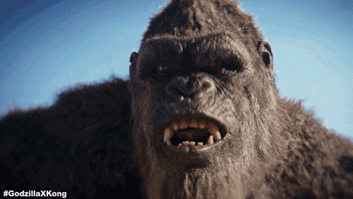 Roar Kong GIF - Roar Kong Godzilla GIFs