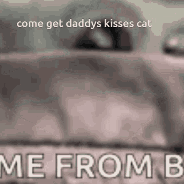 a blurry picture of a cat with the words `` come get daddy 's kisses cat me from b '' written on it .