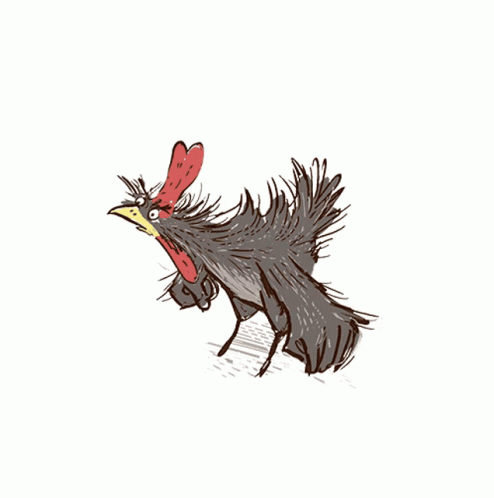 Angry Poule GIF - Angry Poule Chicken GIFs