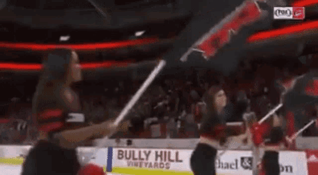 a hockey game is being played in a stadium sponsored by pepsi and bully vineyards