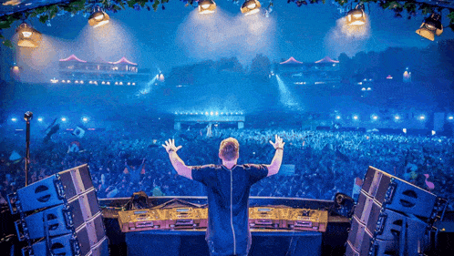 a dj stands in front of a crowd at a music festival
