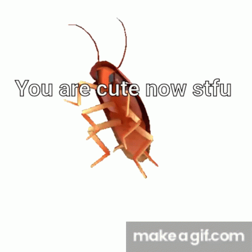 Funny Roach You Are Cute Now Stfu Funny GIF - Funny Roach You Are Cute Now Stfu Funny You Are Cute Now Stfu GIFs