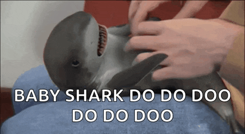 baby shark do do doo do do doo do do doo do do doo do do doo do do doo