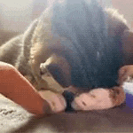 a cat is playing with a stuffed animal on a couch .