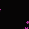 a digital clock shows the time as 4:20 with pink leaves in the background .