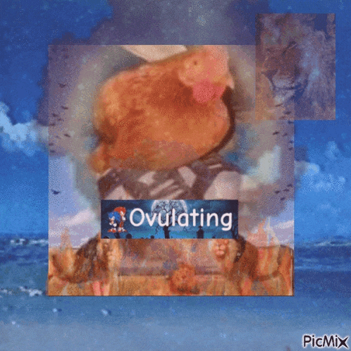 a picture of a chicken with the words ovulating written on it