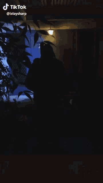 a silhouette of a person in a dark room with tiktok written on the bottom right