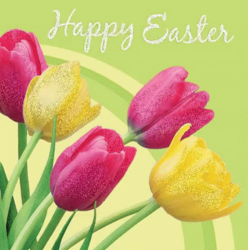Tulips Happy Easter GIF - Tulips Happy Easter Flowers GIFs