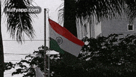 Indian Flag.Gif GIF - Indian Flag Happy Independence Day Independence Day GIFs
