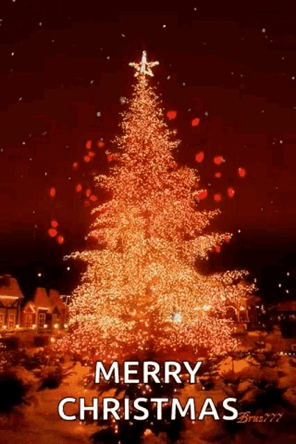 a christmas tree with a star on top and the words `` merry christmas '' .