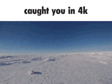 Caught You In 4k Camera GIF - Caught You In 4k Camera Photographer GIFs