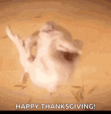a cat is dancing in a bowl of soup with the words `` happy thanksgiving '' written below it .