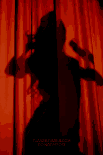 a woman 's shadow is cast on a red curtain .