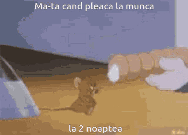 a tom and jerry cartoon with a caption that says ma-ta cand pleaca la munca la 2 noaptea