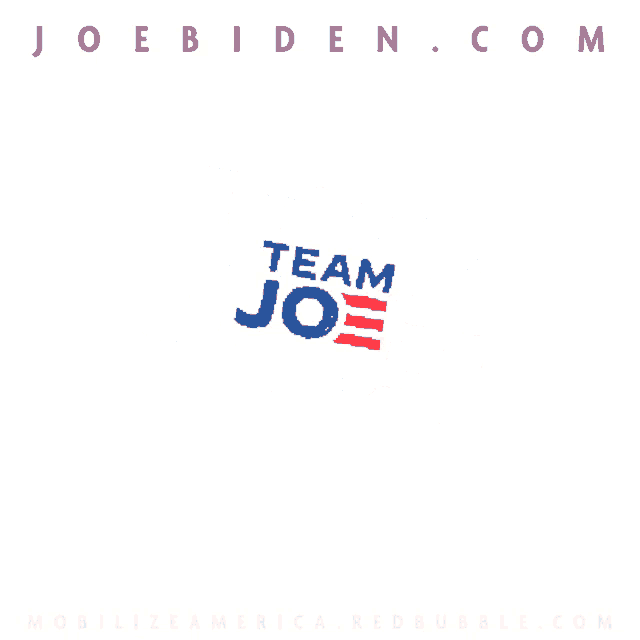 a logo for joe biden 's team joe is displayed on a white background