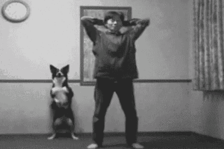a man is standing next to a dog in a living room .