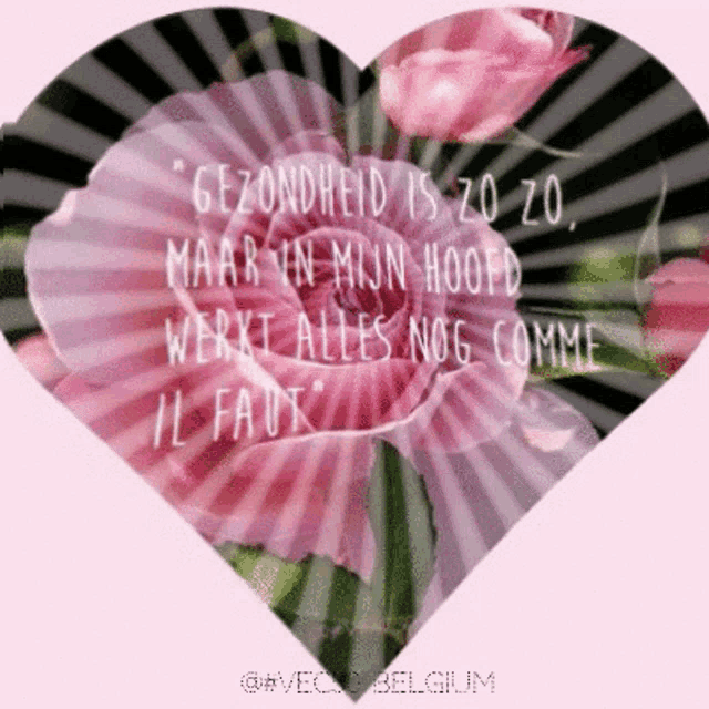 a heart shaped greeting card with a pink flower and the words " gezondheid is zo zo "