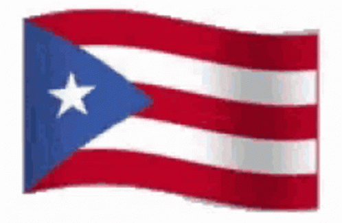 Puerto Puerto Ricans GIF - Puerto Puerto Ricans GIFs