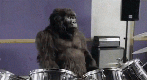 Mad Skillz GIF - Drums Drumming Gorilla GIFs