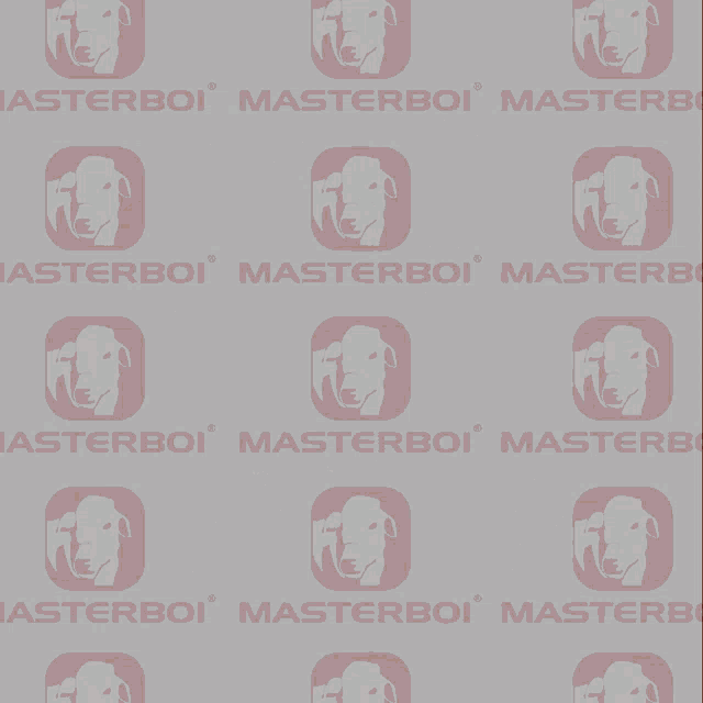 Masterboi GIF - Masterboi GIFs