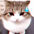 a close up of a cat wearing a suit and tie with a tear coming out of its nose .