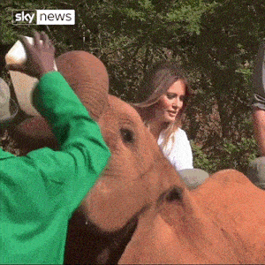 a man in a green jacket is feeding an elephant a bottle of milk