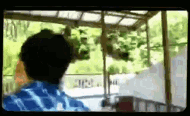 a man in a blue plaid shirt is standing on a porch .