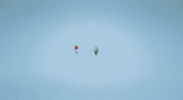 a blue background with flowers and the words hannah the florist written on it