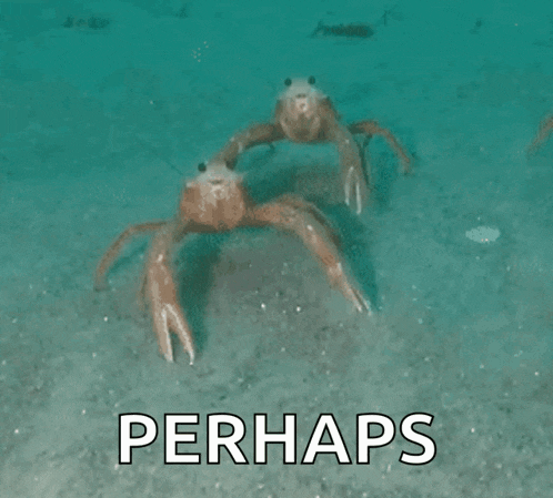 two crabs are standing next to each other in the water with the word perhaps behind them
