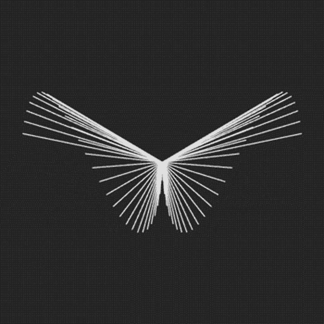a pair of white lines on a black background that look like a butterfly 's wings .