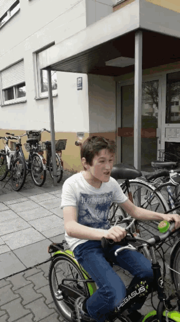 a young boy is riding a pegasus bicycle