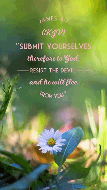 a picture of a flower with a bible verse